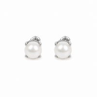 Solis White Gold Pearl Stud Earrings