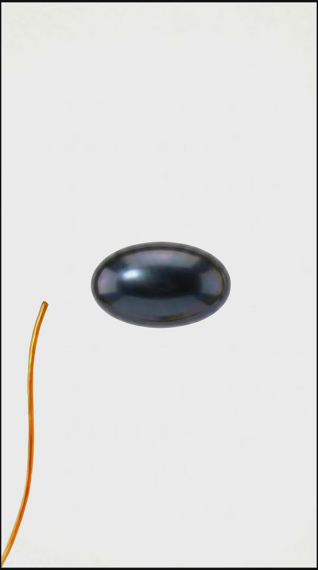 Formal black pearl stud earrings, gold-filled