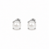 Solis White Gold Pearl Stud Earrings photo